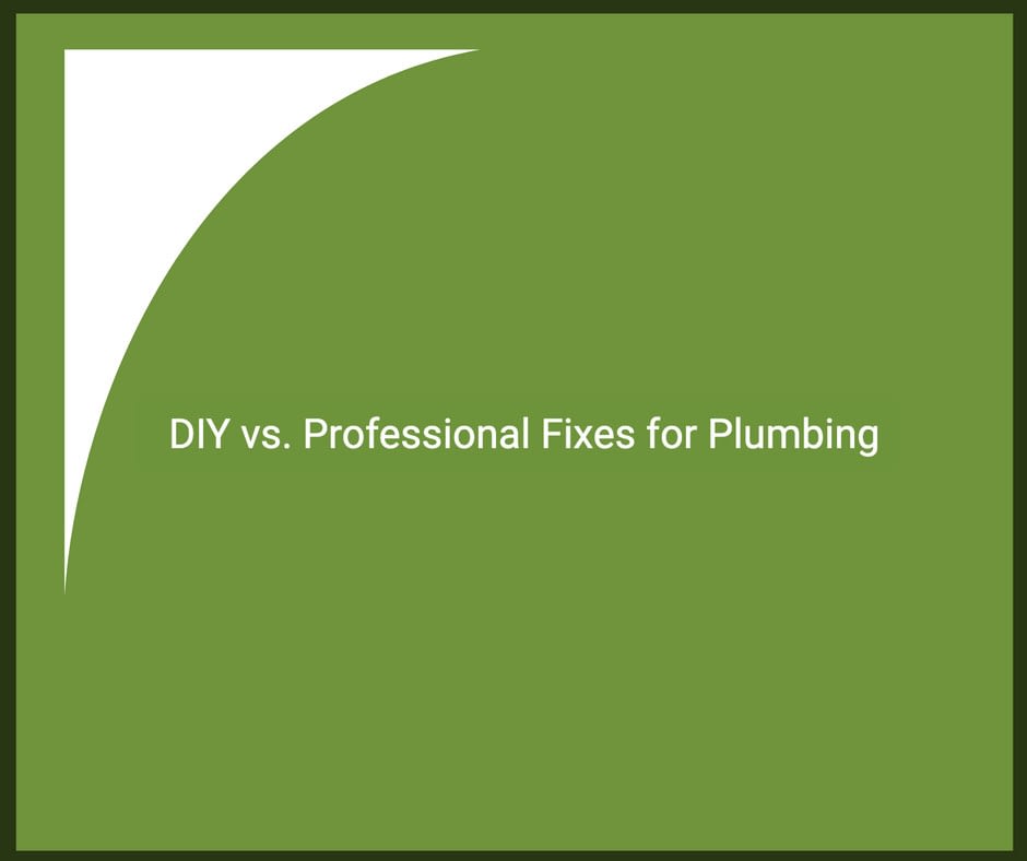 DIY vs. Professional Fixes for Plumbing